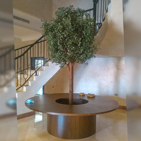 Nature Meets Design: A Tree Grows Through the Table