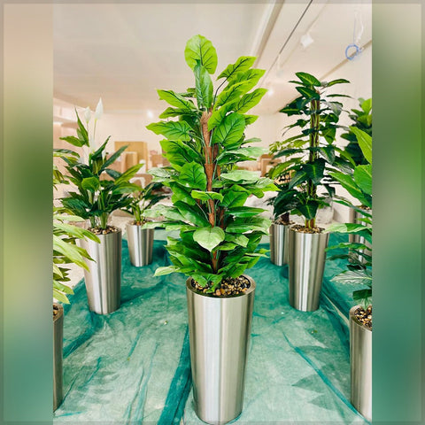 Urban Oasis Green Serenity