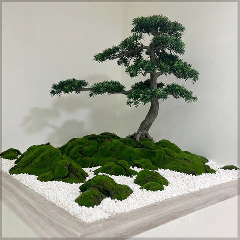 Serene Bonsai Beauty