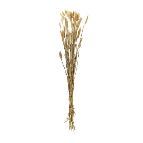 Preserved Dried Bunny Tail