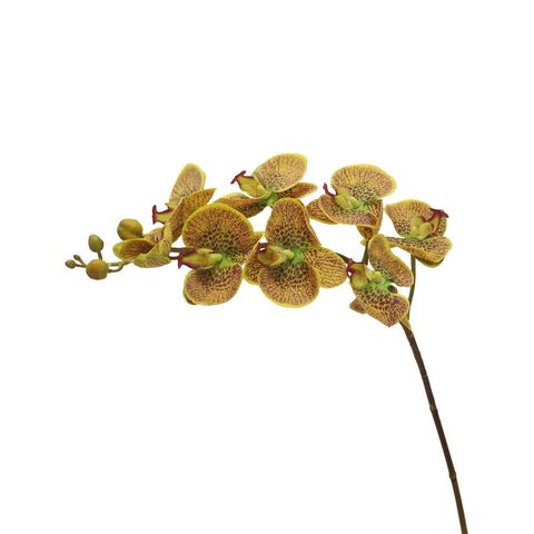 Nearly Natural Orchid Flower Stems