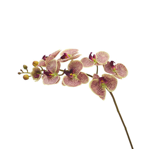 Nearly Natural Orchid Flower Stems