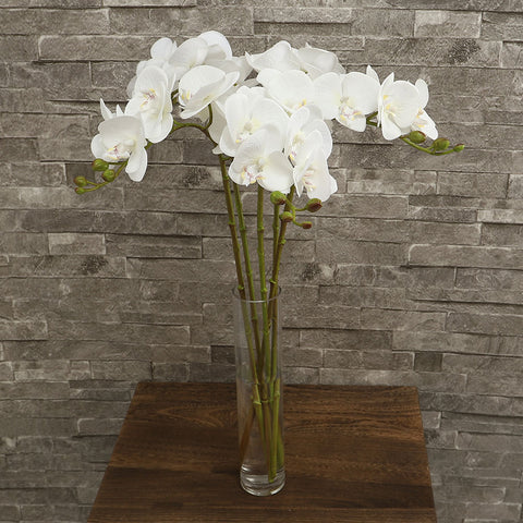 Silk orchids