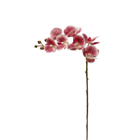 Artificial Real Touch Mini Orchids Flowers