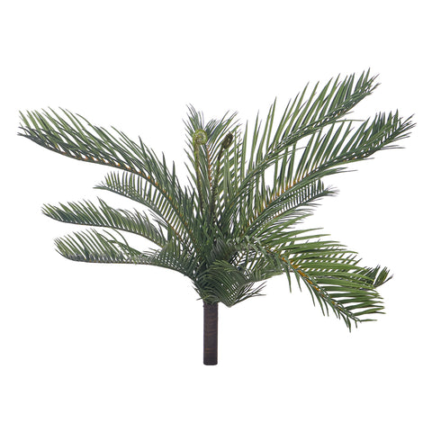 Decorative cycas leaves