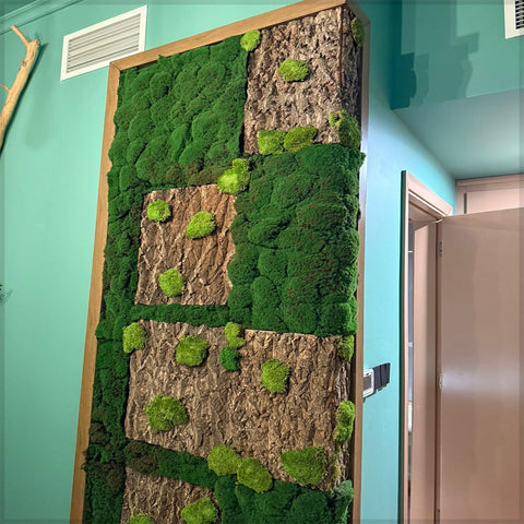 Nature-Inspired Cozy Living Room with Greenery and Leaf Ceiling Light for display purposes only (non-sale)