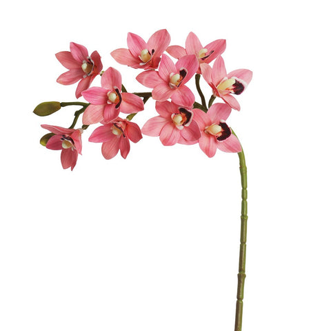 3D Artificial Cymbidium Flowers