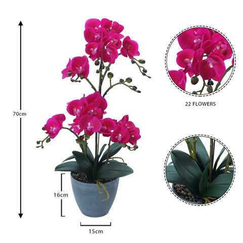 Orchid fake plant