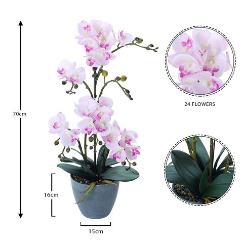 Faux orchid plants