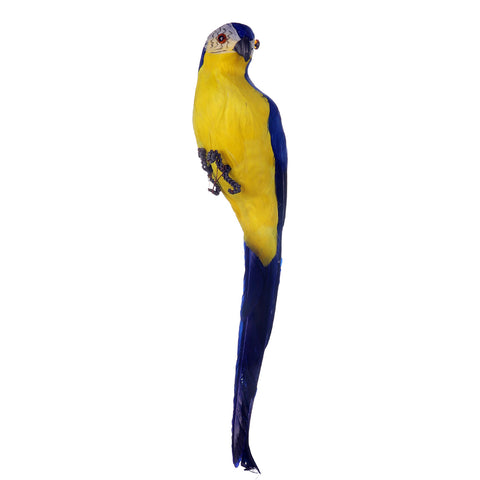 Colorful parrots