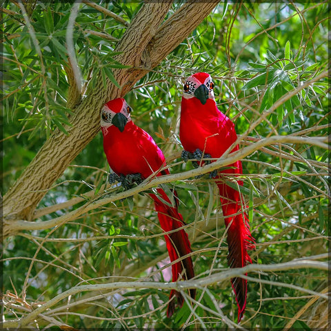Tropical parrot decoration