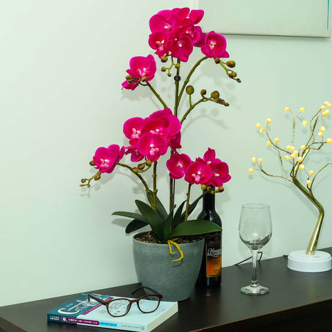Real touch orchid plant