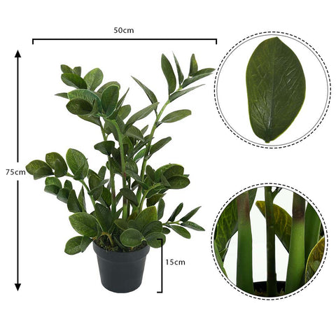 fake zamioculcas
