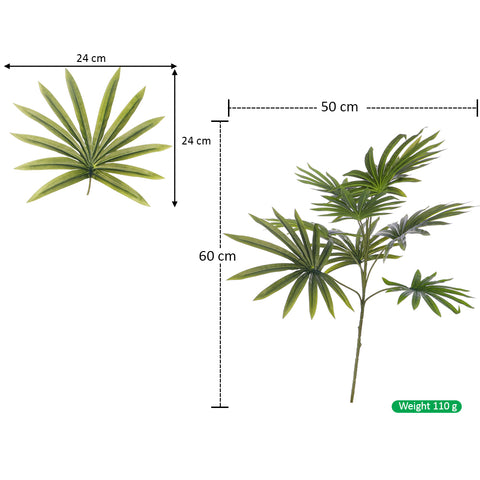 Fan Palm Decor