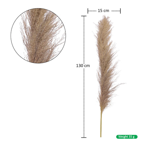 Dried Pampas Grass Stems