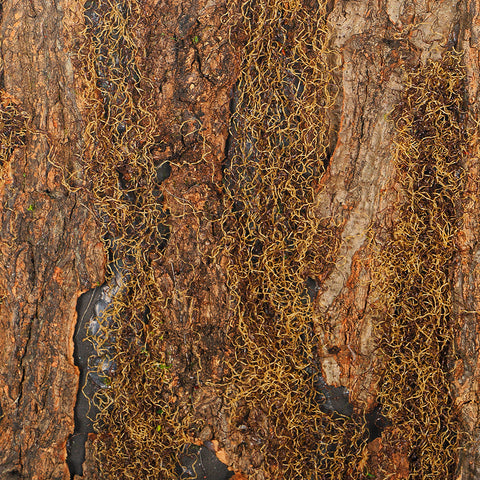 Artificial Moss Wall Panel