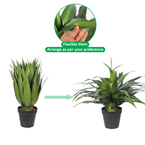 Artificial Dracaena Plants with Pot