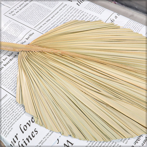 Tropical Palm Leaf Decoration