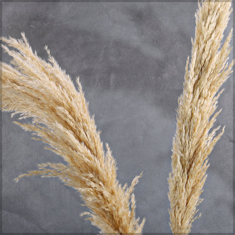 Elegant Dried Pampas for Wedding Styling