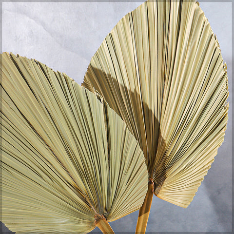 Rustic Palm Leaves for Decor
