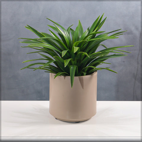 Artificial Potted Adams Needle Plant(with black nursery pot)