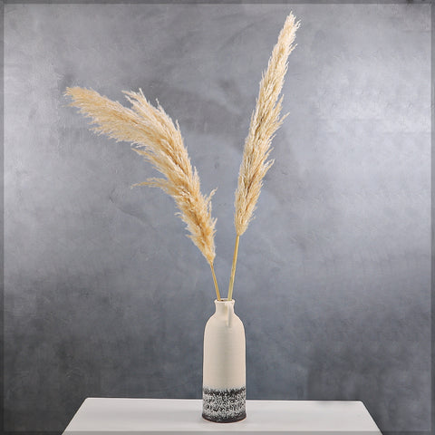 Boho Pampas Grass for Home Decor