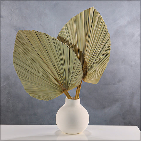Faux Dried Palm Leaves