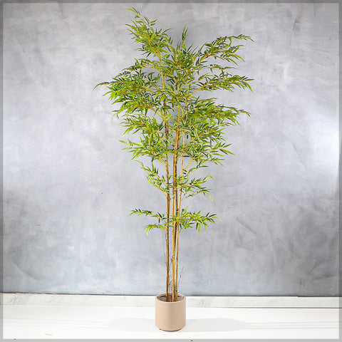 Artificial Bamboo Plant With Natural Dried Stems(with black nursery pot)