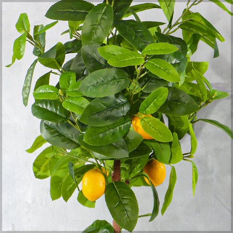 Faux Potted Lemon Plant(with black nursery pot)