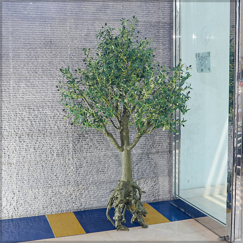 Modern olive tree decor