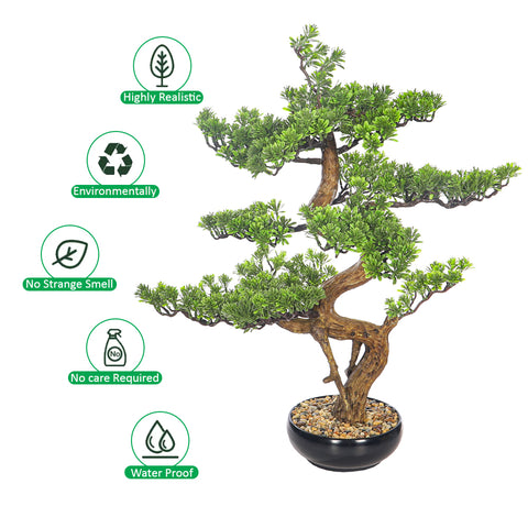 Decorative bonsai plant in black pot