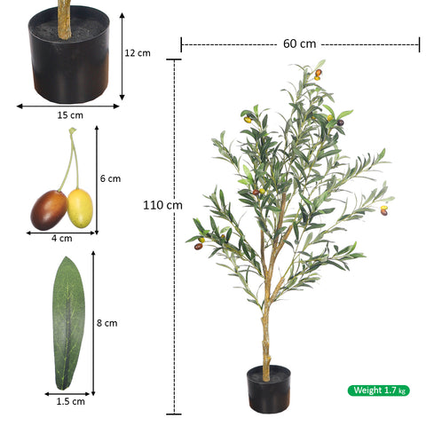 Small olive tree