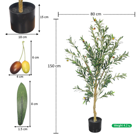 Decorative olive tree