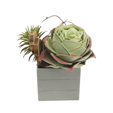 Faux Succulent in Pot