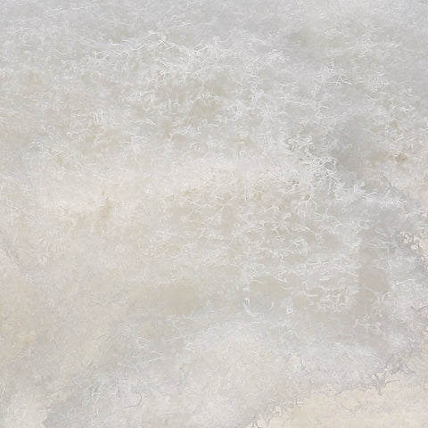 Artificial Decorative White Moss