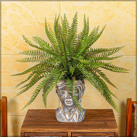 fake boston fern plant