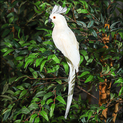 Fake birds