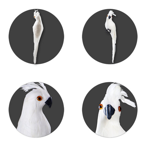 Parrot decor