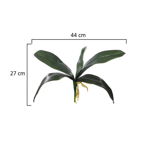 Faux Phalaenopsis Orchid Leaves