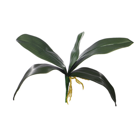 Artificial Phalaenopsis Leaves for Decor
