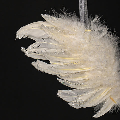 Angel wings for decoration