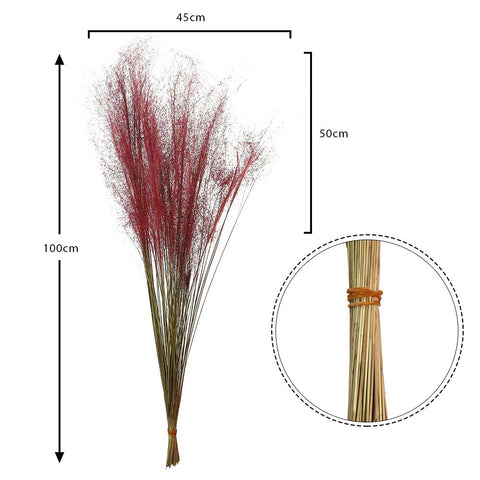 Dried grass for vases and styling