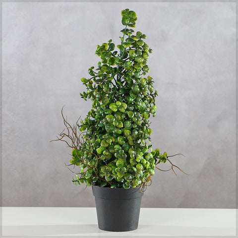 faux eucalyptus bonsai plant