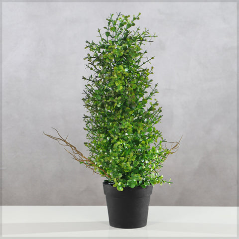 Potted Topiary Mini Bonsai Plant