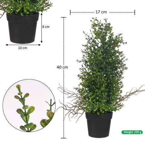 Potted Topiary Mini Bonsai Plant