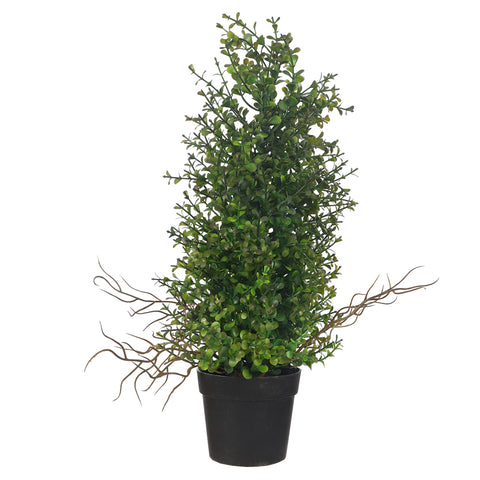 Potted Topiary Mini Bonsai Plant