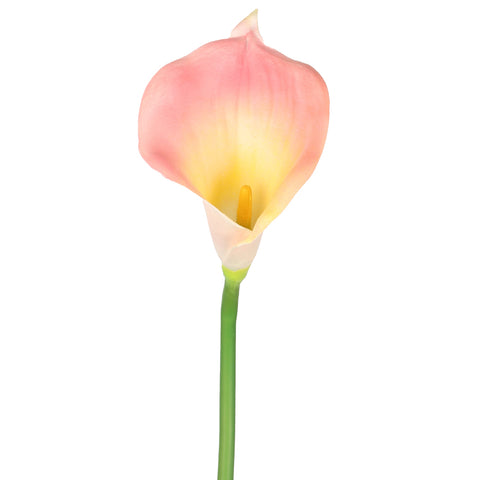 Artificial Calla Lilies Flowers Single Stem (without vase)