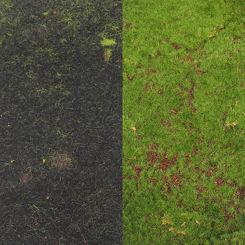 Artificial Decorative Green Moss Pieces