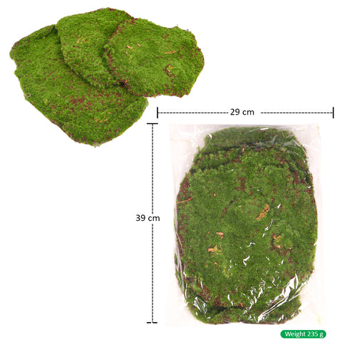 Artificial Decorative Green Moss Pieces