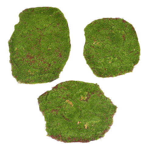 Artificial Decorative Green Moss Pieces